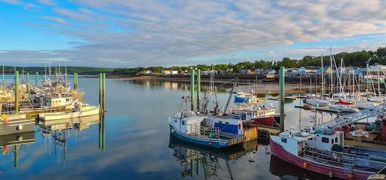 A picturesque harbor scene with multiple fishing boats docked in calm waters, reflecting the sky and surrounding greenery under a partly cloudy sky.