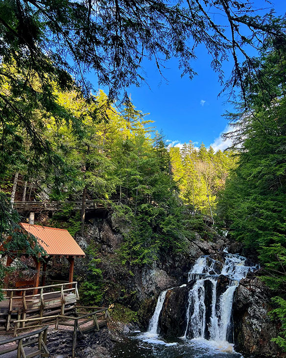 A scenic view of a waterfall cascading over rocks surrounded by lush green trees, with a wooden viewing platform and an orange-roofed gazebo visible in the foreground.